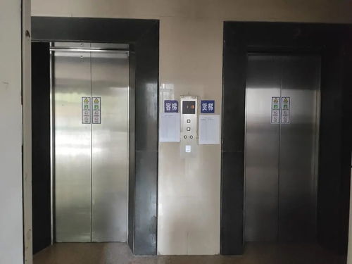 教育省心 轨交便捷 塘桥板块东方汇景苑中等户型电梯房深度测评