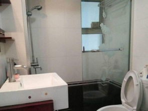 上海双南两房两厅精装电梯房 高性价比，随时看房